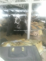 Mercedes Bmw ��kma Par�a